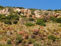 cape-point-scenery