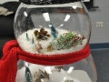 2016-Terrariums-2