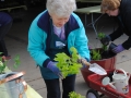 2017-Plant-Sale-2