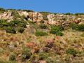 N-cape-point-scenery