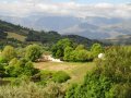 Z39-Stellenbosch-vineyards