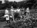 1965-Whitmal-Gardens