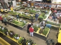 1_Plant-Sale_005