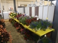 Plant-Sale_012