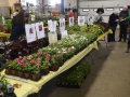 Plant-Sale_017