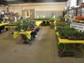 Plant-Sale_027